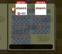 Picross NP Data.png