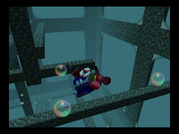 MAPS Aquarium Afternoon.png