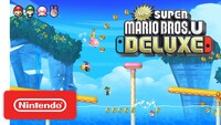 NSMBU 5.jpg