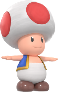 Toad model MRSOH.png