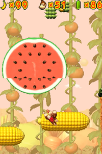 DKJC Veggie Patch.png
