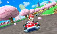 MK3DS1.png