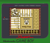 Picross 231-B Name.png