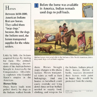 Indian nomads quiz card back.png
