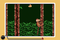 NM WWIMM Spunky Monkey.png