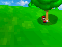 List of Super Mario 64 DS glitches - Super Mario Wiki, the Mario ...