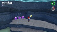 Seaside Kingdom Coins R.jpg