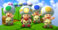 Toadbrigadefury.png