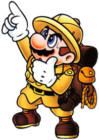 Mario MPicross.png