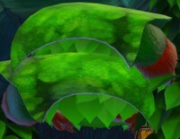 Hiding Behedger.jpg