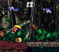Jungle Jinx Bonus Area V2.png