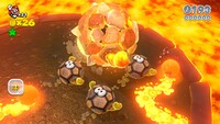 SM3DW Brolder Blockade Is Back.jpg