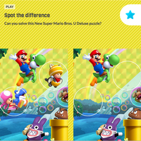 Spot the difference NSMBUD icon.png