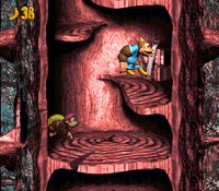 Springin Spiders DKC3 shot 2.png