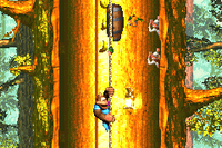 Barrel Shield Bust-Up DKC3 GBA.png