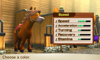 HorseSpeed-Female7.png