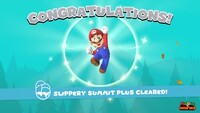 MarioVsDKSwitchSlipperySummitPlusClear.jpg