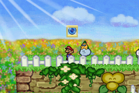 PM Super Block FlowerFieldsSoutheast.png