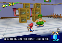 SMS DP Shine 03.png