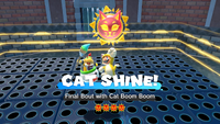 ClawswipeColosseum FinalBoutwithCatBoomBoom.png