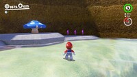 Mushroom Kingdom Coins H.jpg