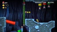 NSMBU 1-2 Coin 2.jpg