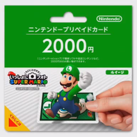 PTWSM Luigi Package.png