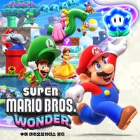 SMBW KR artwork.jpg