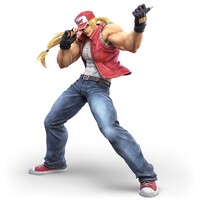 Terry SSBU.jpg