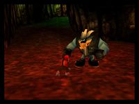 Kasplat and Diddy DK64 screenshot.jpg