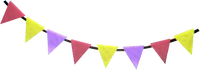 PMOK Flags.png