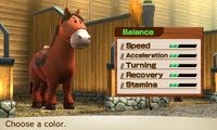 HorseBalance-Male3.png