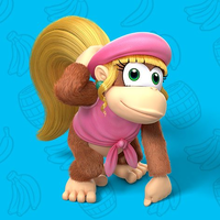 Play Nintendo Dixie Profile.png
