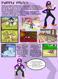 SM64DSFakeWaluigi.png