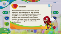 KnucklesDescription.png