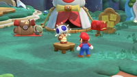 SMBW NS2 Hint Toad.png