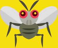 SMM Fly Artwork.png