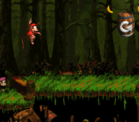 Barrel Bayou DKC2 shot 2.png