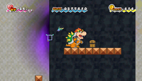 Flopside Treasure Chest 1.png