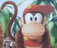 Diddy front facing art.png