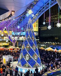 HnMH Symbol Tree.jpg