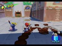NM SMS Shadow Mario.png