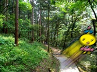 WWSM Blog Dribble 1.jpg