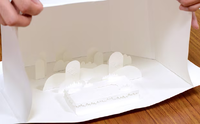 PMSS Concept Art diorama.png