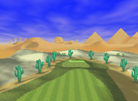 ShyGuyDesert.png
