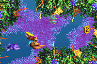 FishFoodFrenzy-GBA-G.png