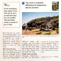 Wind quiz card back.png
