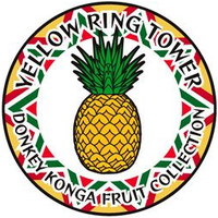 DK1 Pineapple badge.png