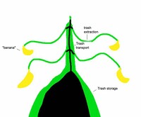 Garbage Can Ghost Diagram.jpg