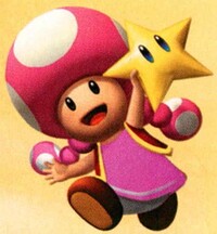 MP6 Toadette Artwork.jpg